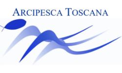 Regolamento XXXV Campionato Toscano a Box – Memorial Moreno Ventisette