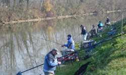 Il Campionato Toscano di pesca alla prova di Laterina – di Marco Cavini