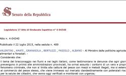 Interrogazione al Senato – comunicato FIPO