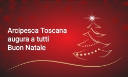 Natale 2022